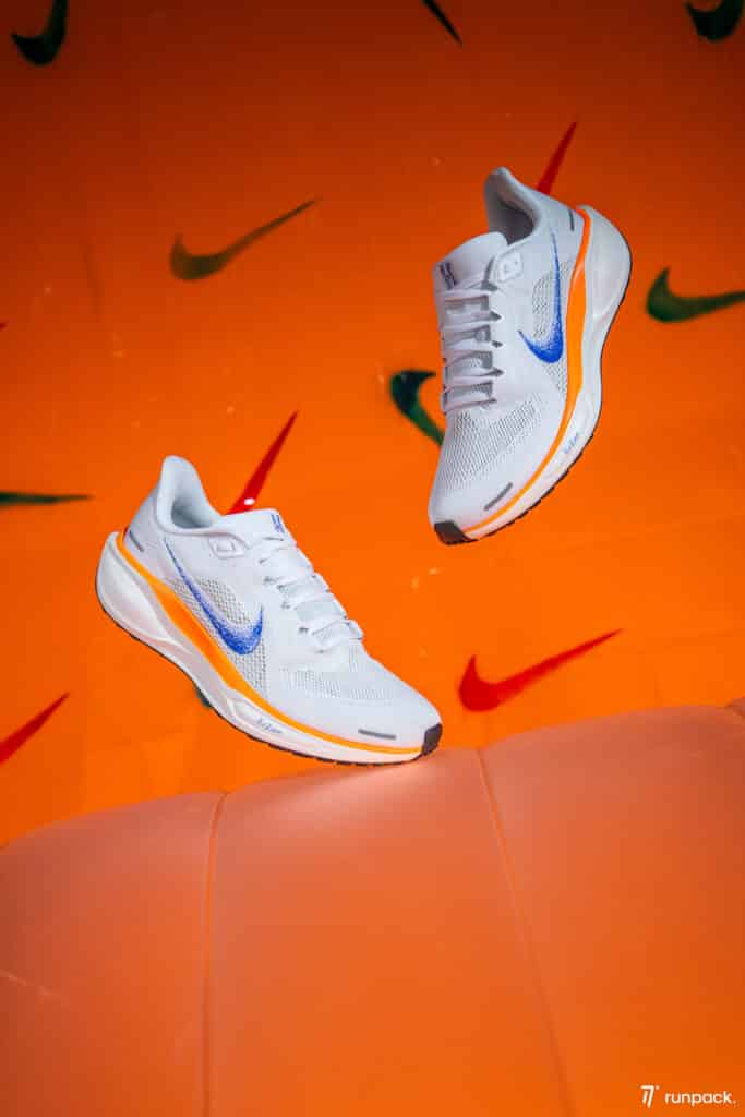 Nike Pegasus 41