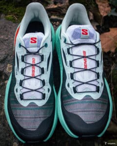 chaussure trail running salomon genesis avis